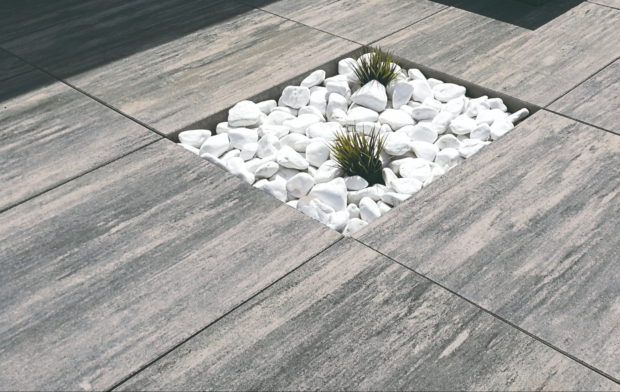 Szare płyty chodnikowe z kwadratową wnęką wypełnioną białymi kamieniami i ozdobnymi trawami. Dekoracyjny element w przestrzeni zewnętrznej.