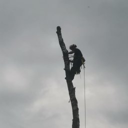 ARBORANGER JAKUB KRUPA - Najlepsze Nasadzanie Drzew w Wyszkowie