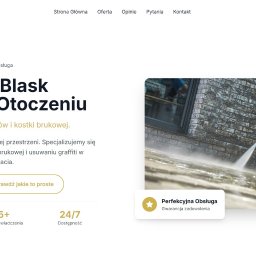 Strona dla Pana, który zajmuje się profesjonalnym czyszczeniem grobów oraz kostki brukowej. 