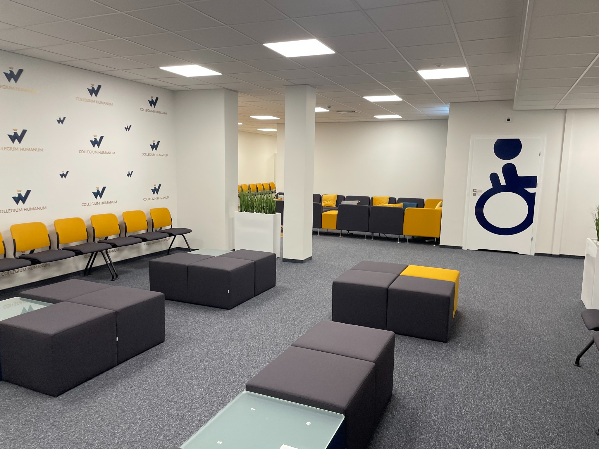 Utrzymanie czystości prywatnej uczelni w Rzeszowie