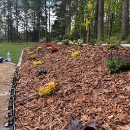 Michał Kowaliński - Rabata z korą i nasadzeniami: czerwone, żółte i fioletowe kwiaty na tle zieleni drzew. W tle trawnik i siatka ogrodzeniowa. Brzeg rabaty wykończony obrzeżem.