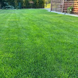 Ogrodnik Koleczkowo 1