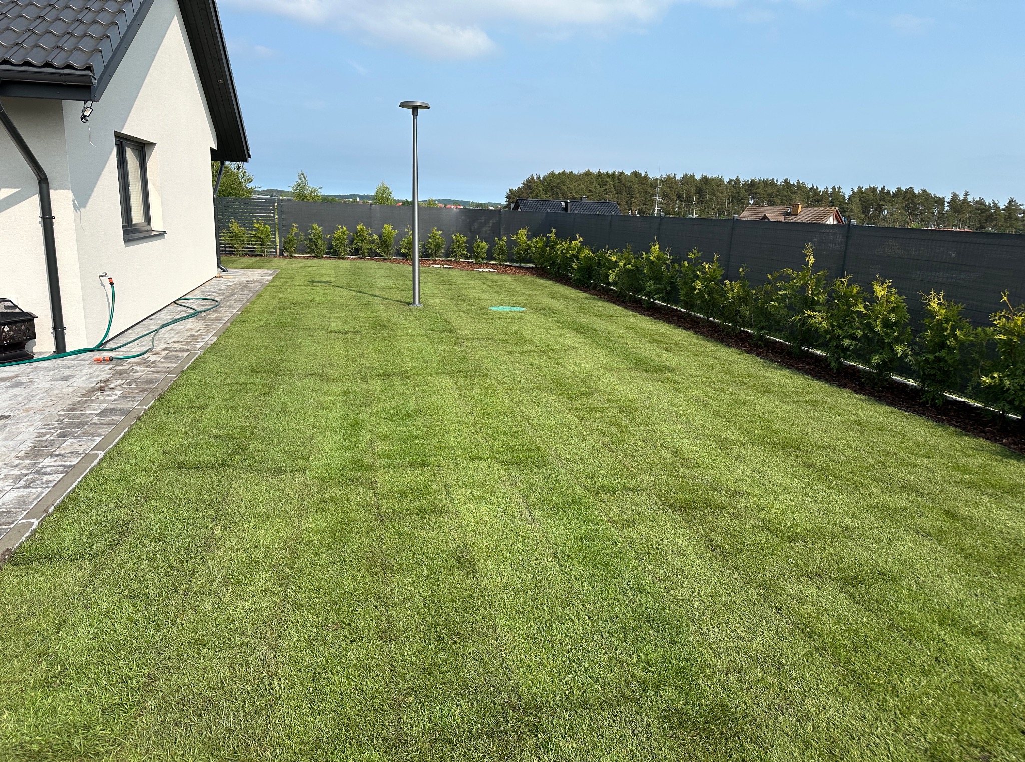 Zadbany trawnik z rolki przed nowoczesnym domem. Widoczny fragment elewacji, ścieżka z kostki, lampa ogrodowa i żywopłot wzdłuż ogrodzenia. Słoneczny dzień.