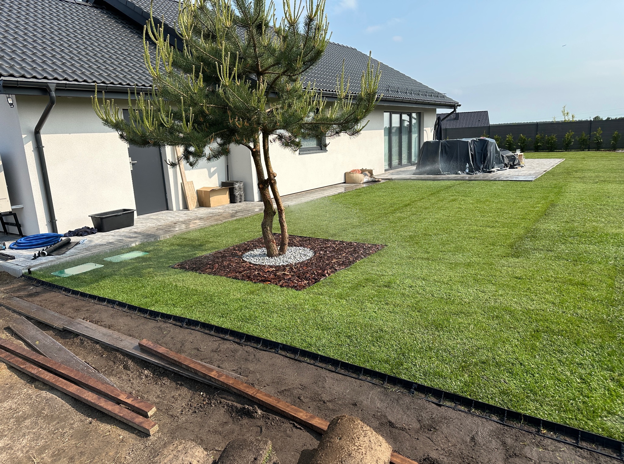 Nawadnianie nowo założonego trawnika z rolki wokół drzewa, obrzeża trawnikowe, deski na ziemi, nowoczesny dom w tle, słoneczny dzień.