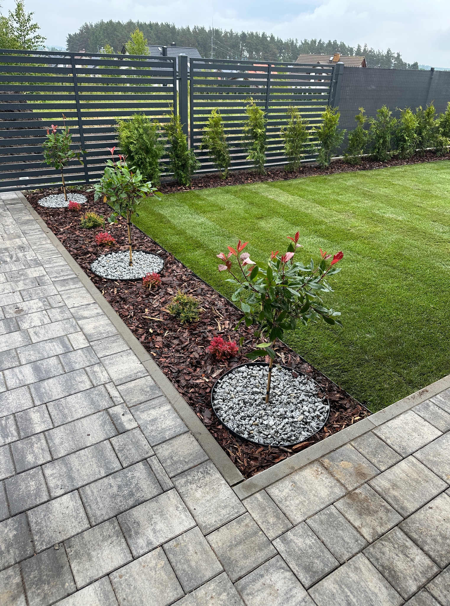 Zadbany ogród z równo przystrzyżonym trawnikiem, ozdobnymi drzewkami z czerwonymi akcentami, wysypanymi kamieniami i korą, oraz nowoczesnym, szarym ogrodzeniem.