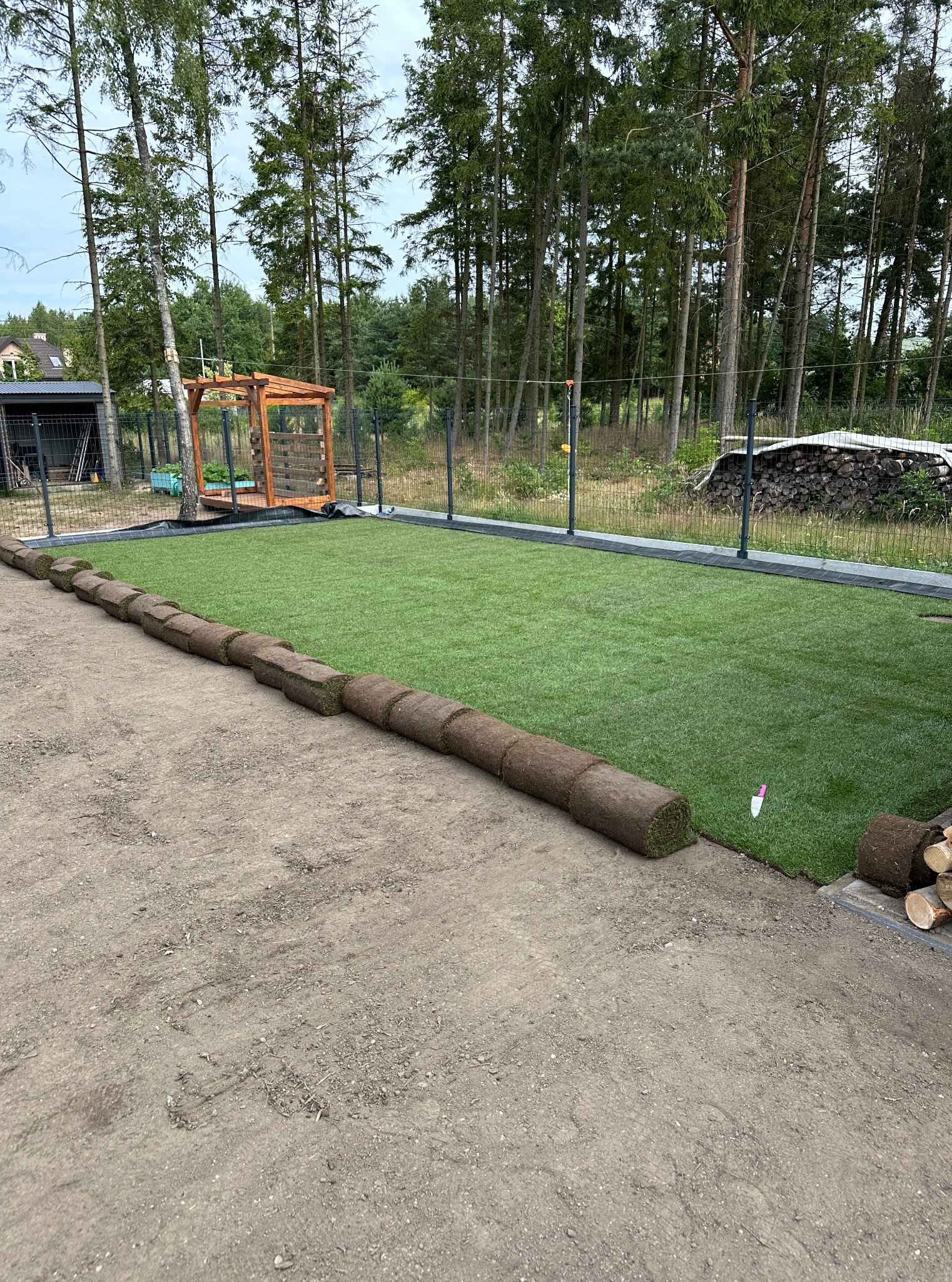 Układanie trawy z rolki w ogrodzie: widok na zielony trawnik, obok zwinięte rolki trawy i drewniana pergola w tle. Częściowo ułożona trawa.