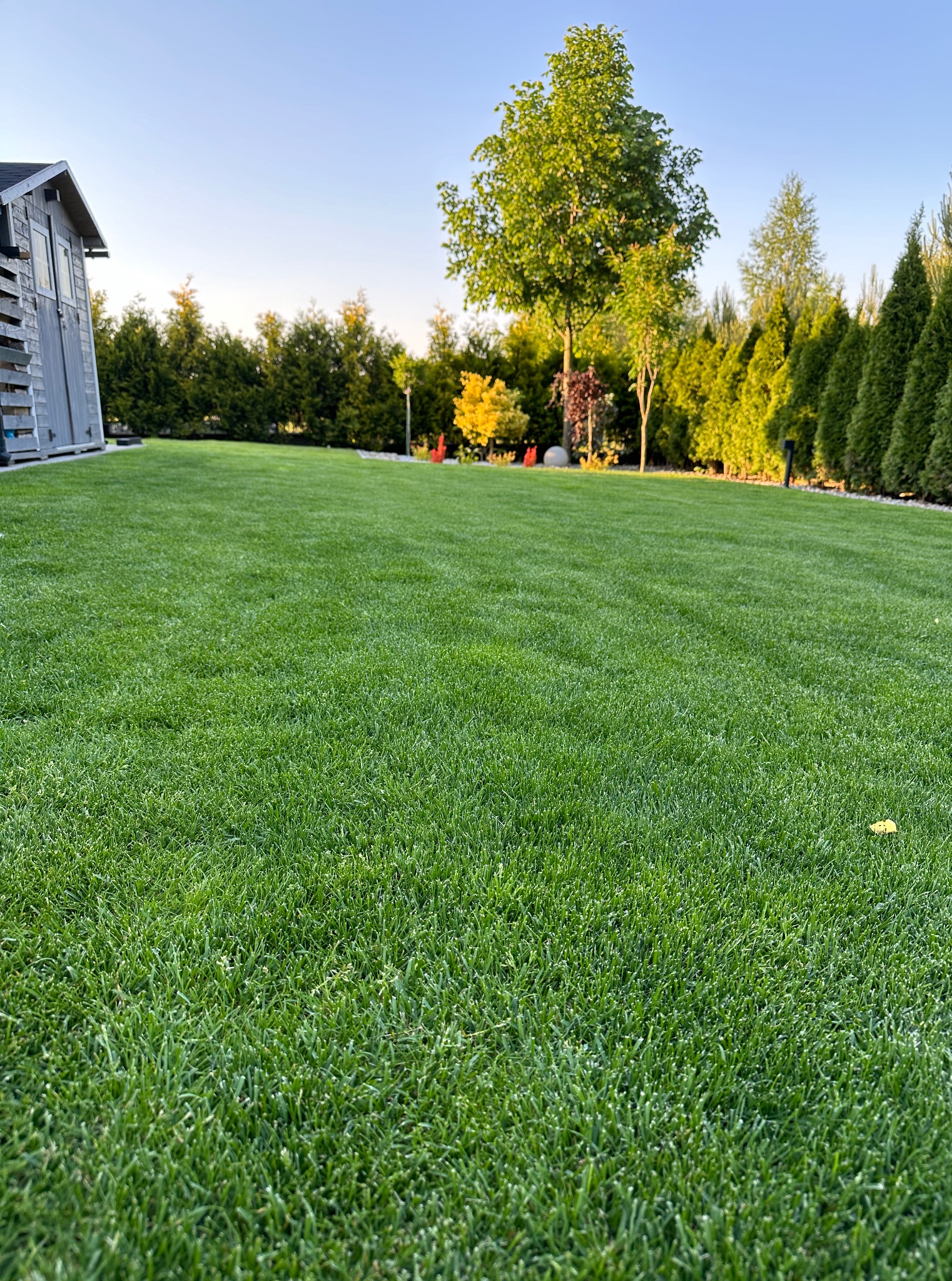 Zakładanie i pielęgnacja ogrodów