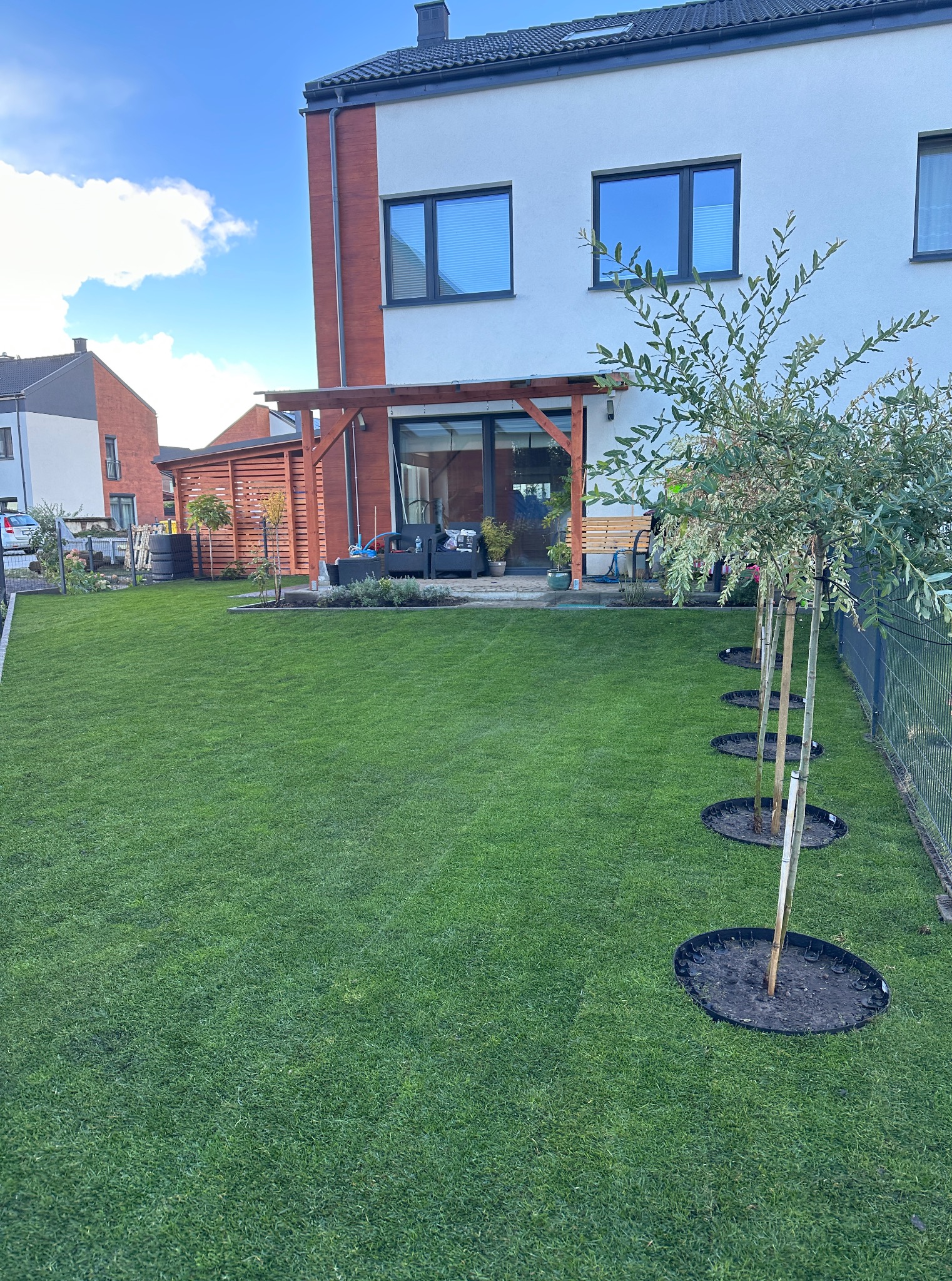 Zadbany trawnik z rzędem młodych drzewek z osłonkami, nowoczesny dom z tarasem w tle, błękitne niebo.