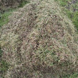 MarKop MARCIN KUCZMIERCZYK - Kupa świeżo skoszonej, wilgotnej trawy na trawniku. Widoczne źdźbła trawy o różnej długości i odcieniach zieleni. Część trawy jest uschnięta.