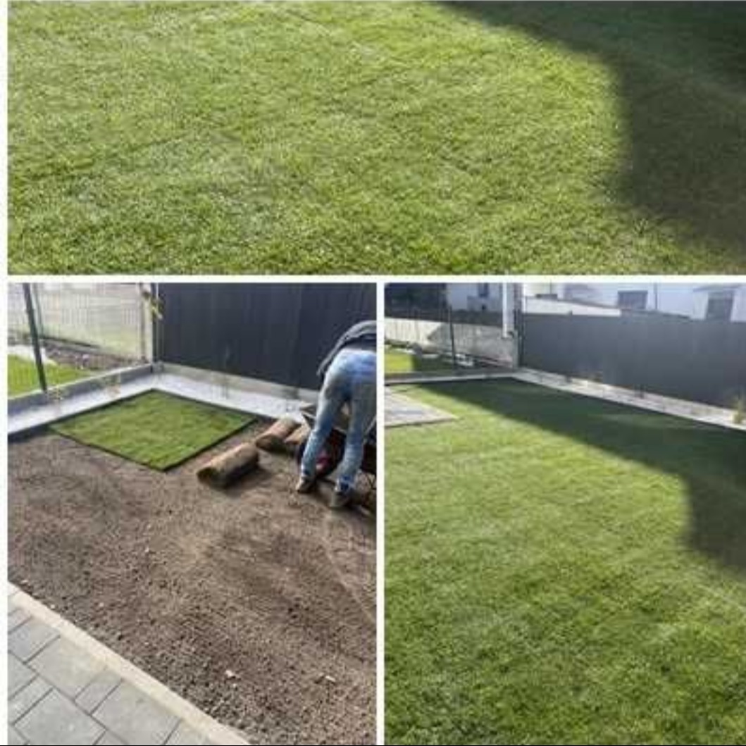 Montaż trawy z rolki w Imielinie: porównanie stanu przed i po. Widoczny fragment ogrodu z rozłożoną trawą oraz rolki gotowe do ułożenia. Efektowna metamorfoza zieleni.