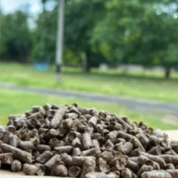 Góra brązowego pelletu na jasnej powierzchni, w tle zieleń trawy i drzew, słup elektryczny. Naturalne światło, lekka głębia ostrości.