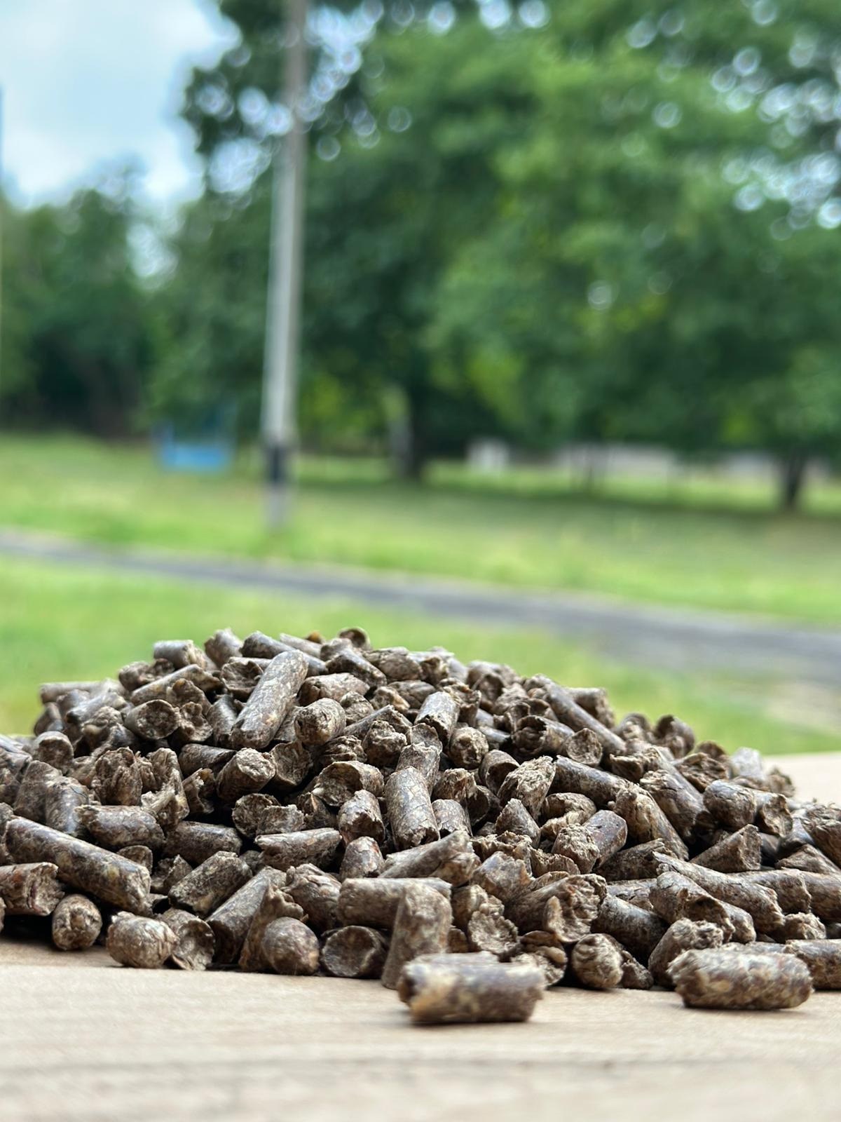 Góra brązowego pelletu na jasnej powierzchni, w tle zieleń trawy i drzew, słup elektryczny. Naturalne światło, lekka głębia ostrości.