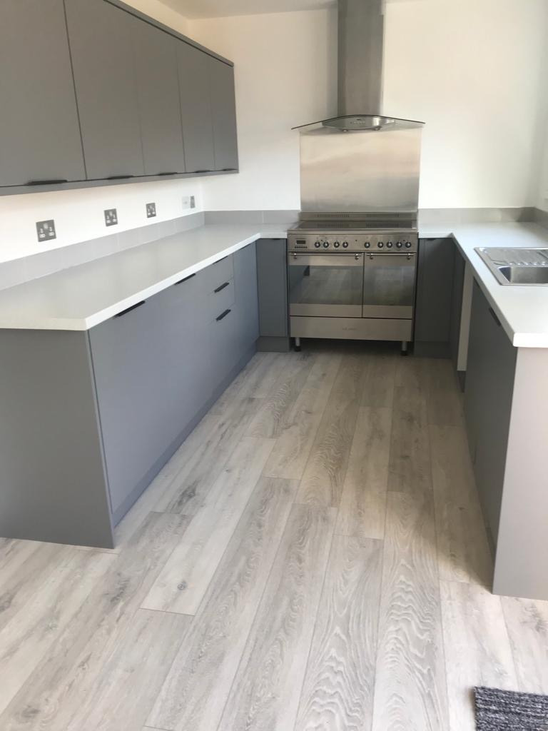 Nowoczesna kuchnia w szarościach: zabudowa meblowa z gładkimi frontami, jasna podłoga imitująca drewno, srebrny okap i płyta grzewcza. Minimalistyczny design.