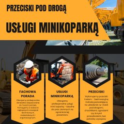 Zakres wykonywanych usług
