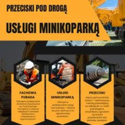 Zakres wykonywanych usług