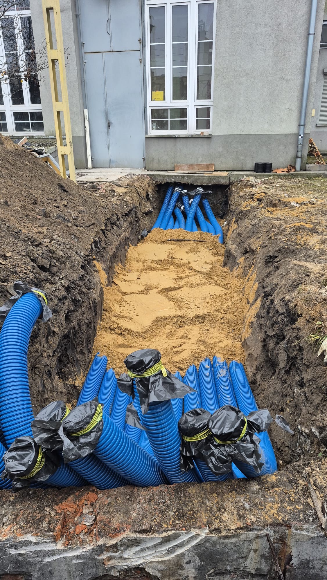 Wykop z piaskiem i ułożonymi niebieskimi rurami drenażowymi, zabezpieczonymi czarną folią. Widok na budynek z szarą elewacją i oknami.