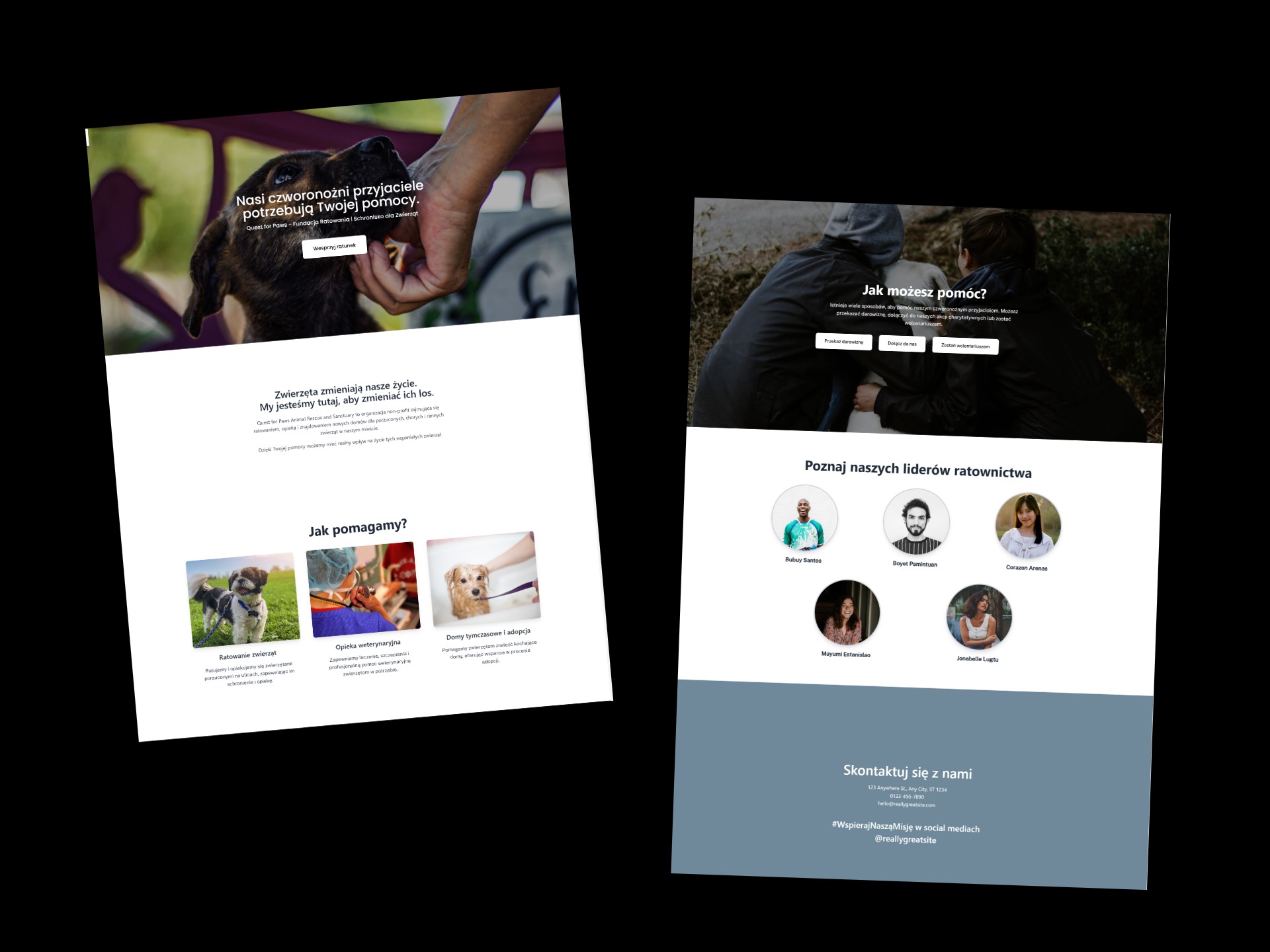 Responsywna strona www fundacji zwierząt: sekcje z informacjami o adopcji, pomocy weterynaryjnej i zespole, z wyraźnym wezwaniem do działania i danymi kontaktowymi.