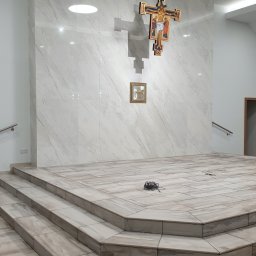 Glazurnik Janowiec 2