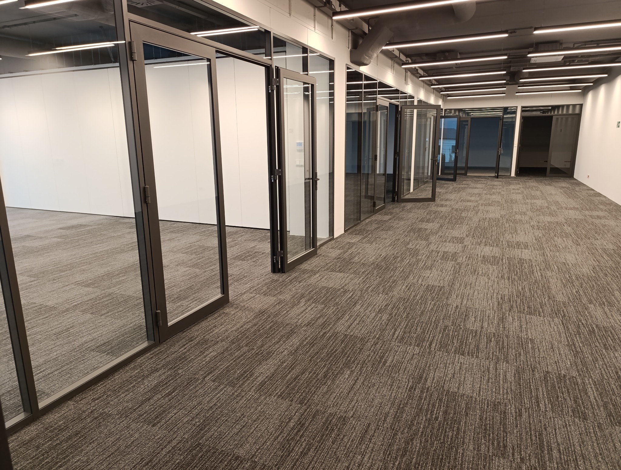 Wykończone wnętrze biurowe z szarym dywanem w kratę i szklanymi ściankami działowymi z czarnymi ramami. Widoczne oświetlenie sufitowe.