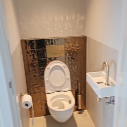 River &.Tree Construction - Nowoczesna łazienka: biała toaleta z deską w kolorze drewna, złote płytki na ścianie, biała umywalka ze złotą armaturą. Minimalistyczny design z akcentami złota.