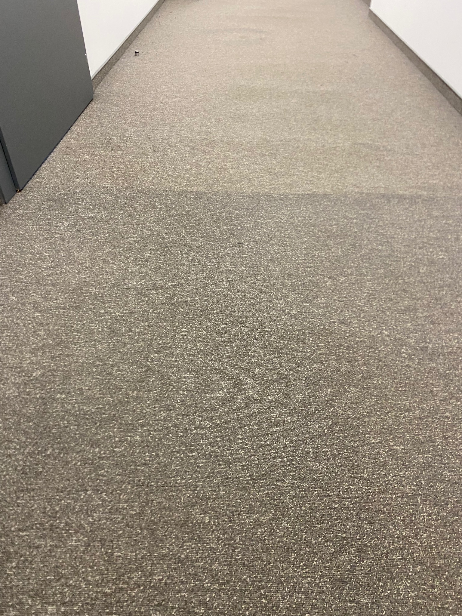 Fragment szarej wykładziny dywanowej w korytarzu biurowym, z widoczną różnicą w odcieniu po czyszczeniu, w tle ściana i fragment szafy.