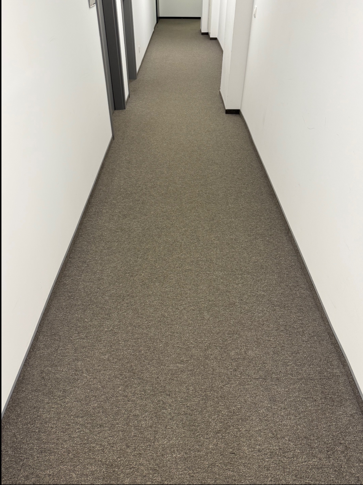 Długi, pusty korytarz biurowy z szarym dywanem. Białe ściany i szare obramowania drzwi. Perspektywa zbieżna w głąb, oświetlenie sufitowe.