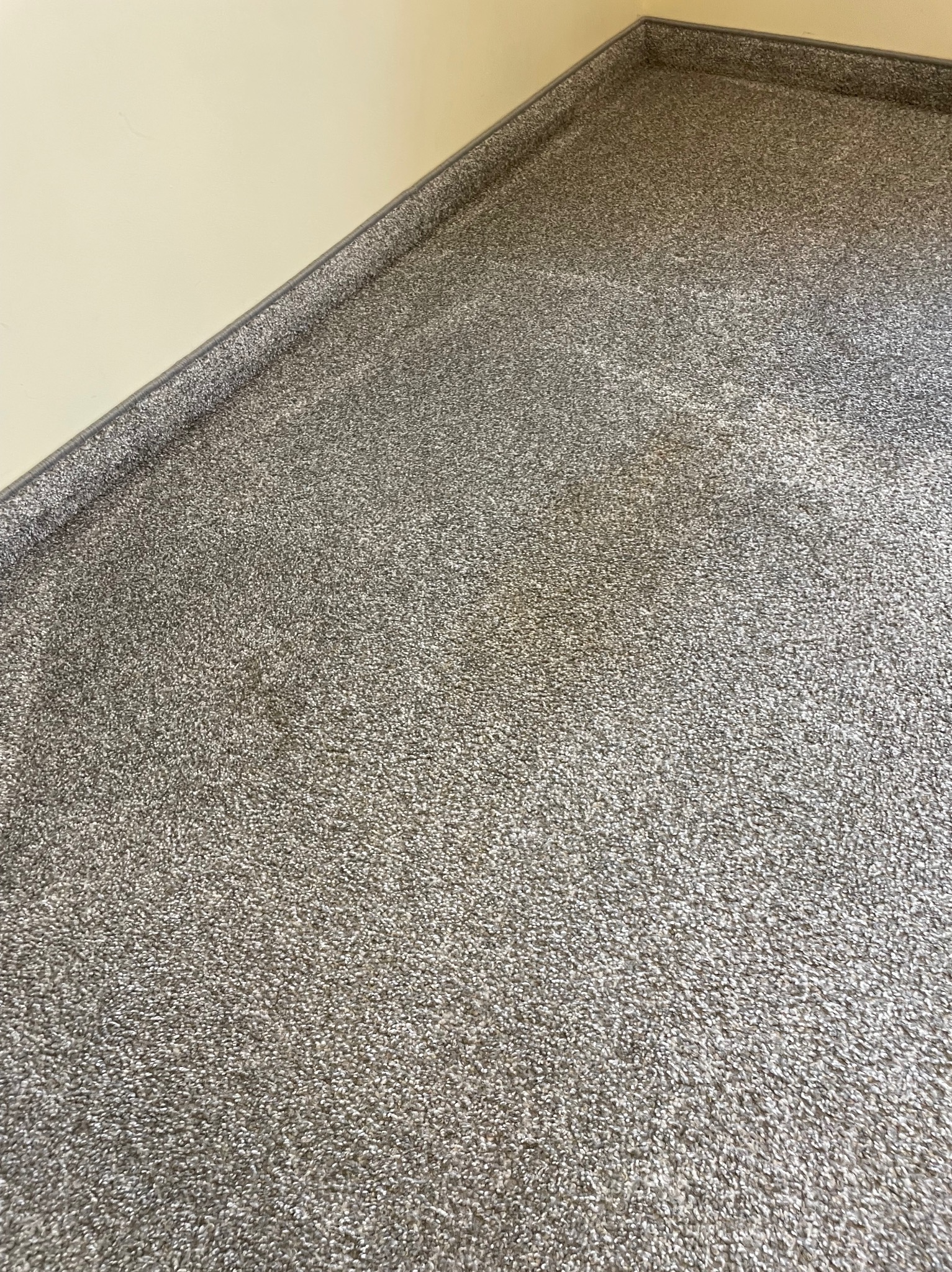 Szary dywan z krótkim włosiem, ułożony w rogu pokoju, widoczny fragment ściany w odcieniu kremowym i szara listwa przypodłogowa. Tekstura dywanu jest wyraźna.