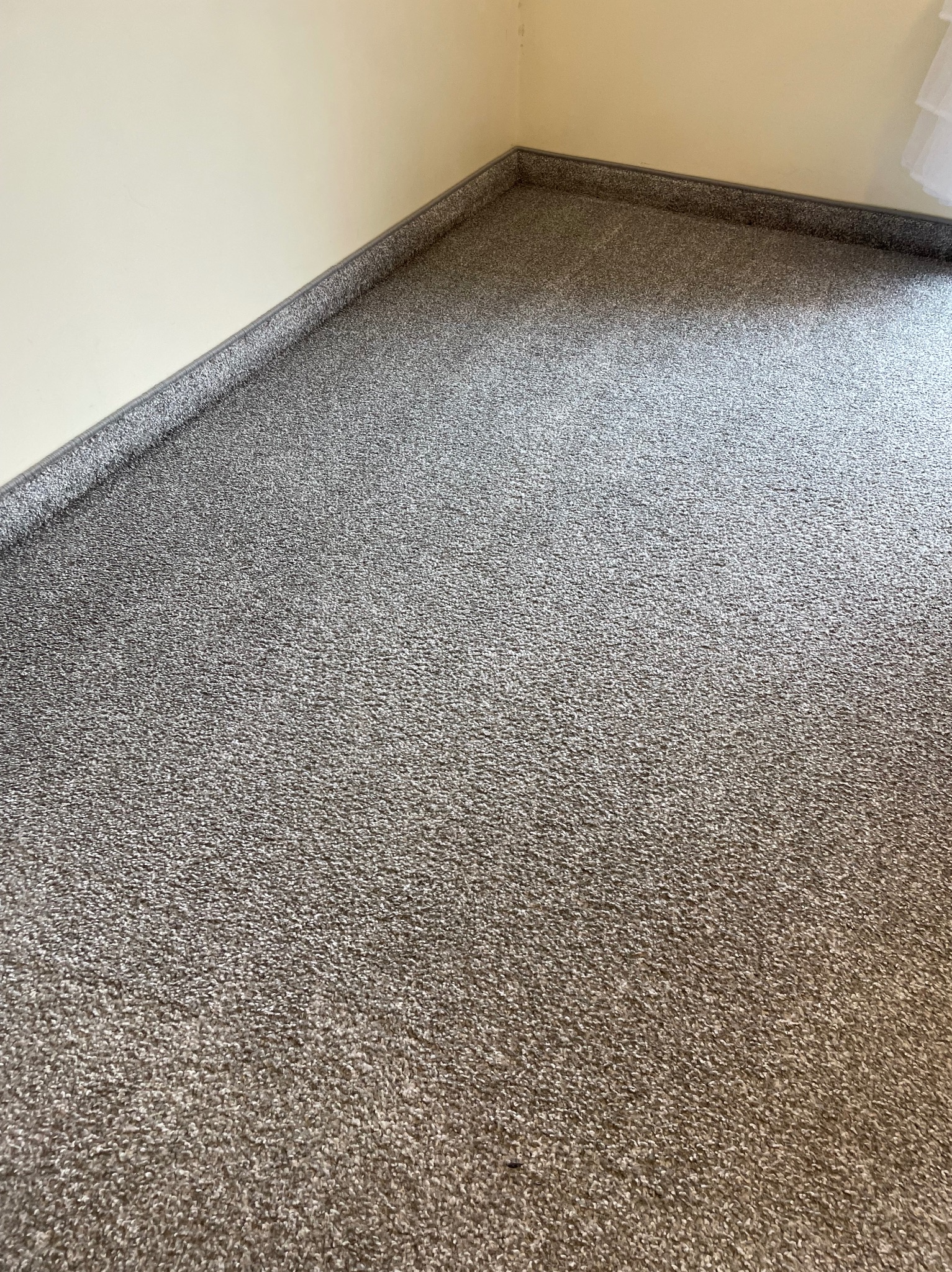 Szary dywan z krótkim włosiem, widoczny w rogu pokoju z kremowymi ścianami i szarą listwą przypodłogową. Tekstura dywanu jest wyraźna, a oświetlenie równomierne.