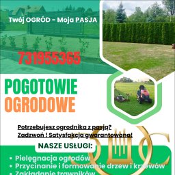 Pogotowie Ogrodowe Daniel Janowiec - Zakładanie Trawnik&oacute;w Nowy Sącz