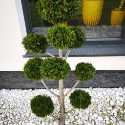 Koszenie trawy Nowy Sącz 2