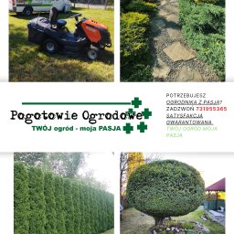 Koszenie trawy Nowy Sącz 1