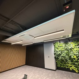 FIRMA BUDOWLANA OLEKSANDR BOICHENKO - Nowoczesne wnętrze biurowe w Krakowie po odświeżeniu: drewniana ściana, zielona ściana z roślin, podwieszany sufit z oświetleniem liniowym i klimatyzacją.