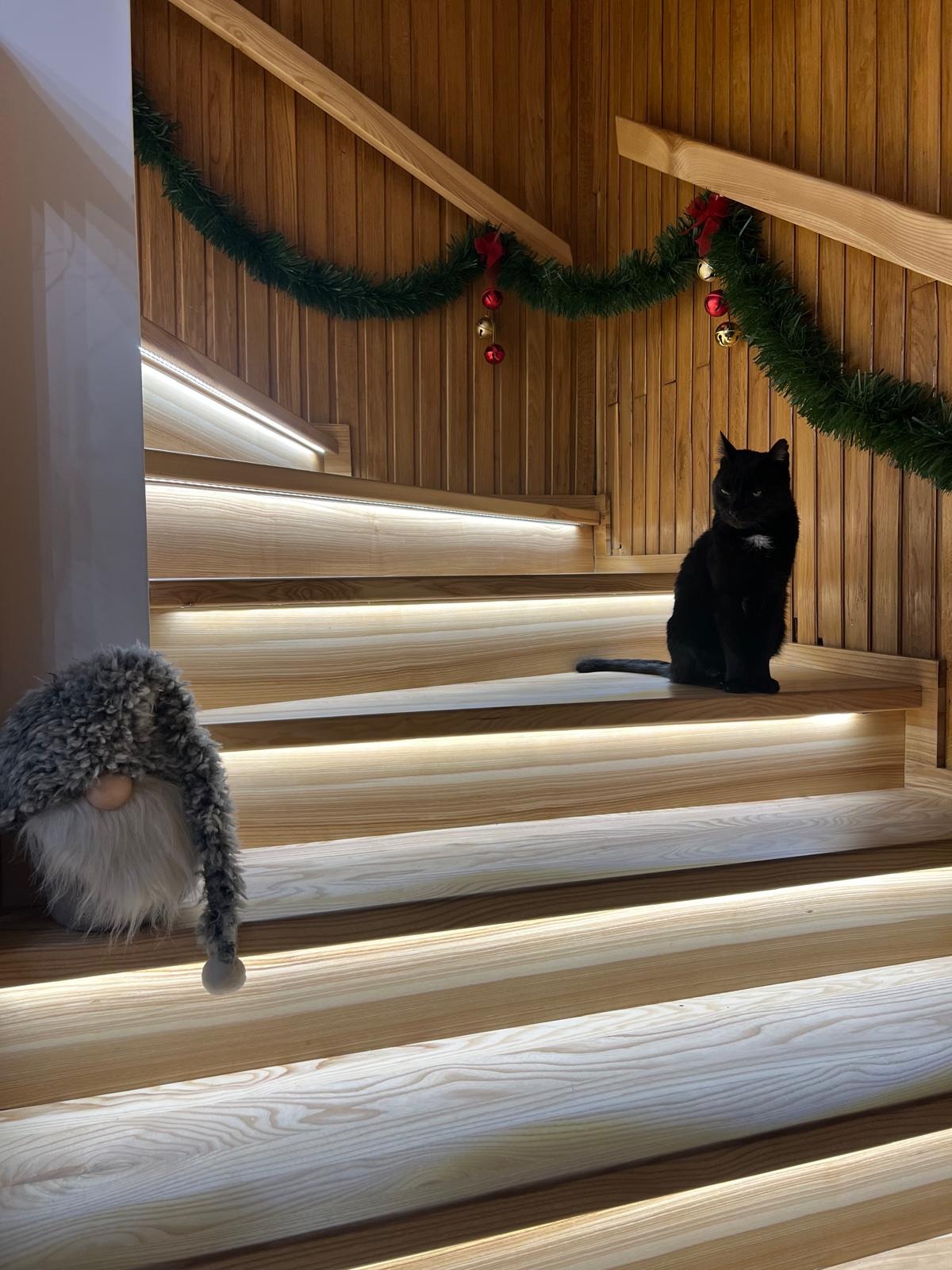 Podświetlane schody z drewnianymi stopniami i dekoracją świąteczną. Na schodach siedzi czarny kot, a obok stoi pluszowy skrzat.