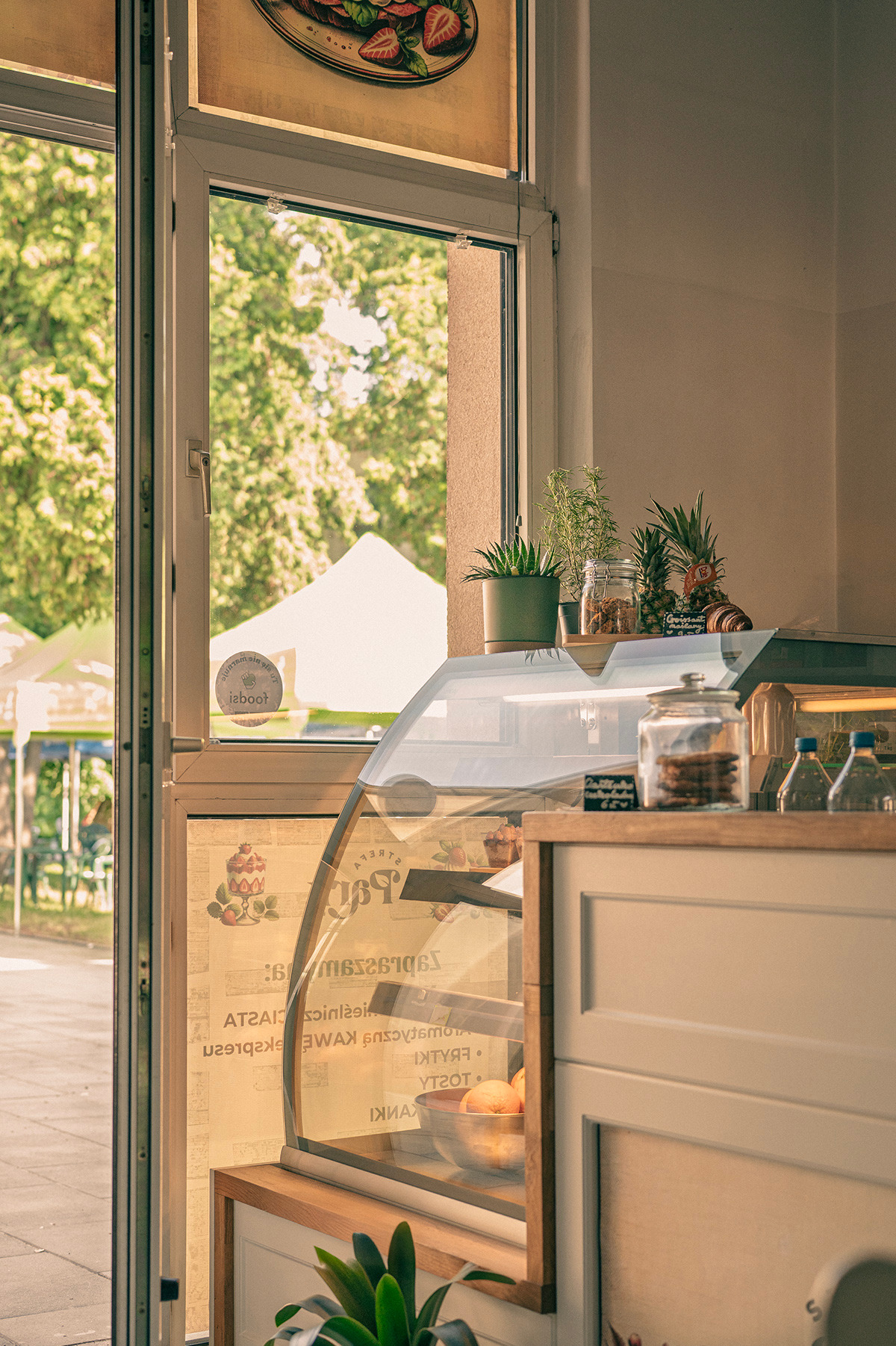 Wnętrze kawiarni z witryną pełną ciast i deserów, rośliny doniczkowe na blacie, widok na zewnątrz przez okno. Przytulna atmosfera.