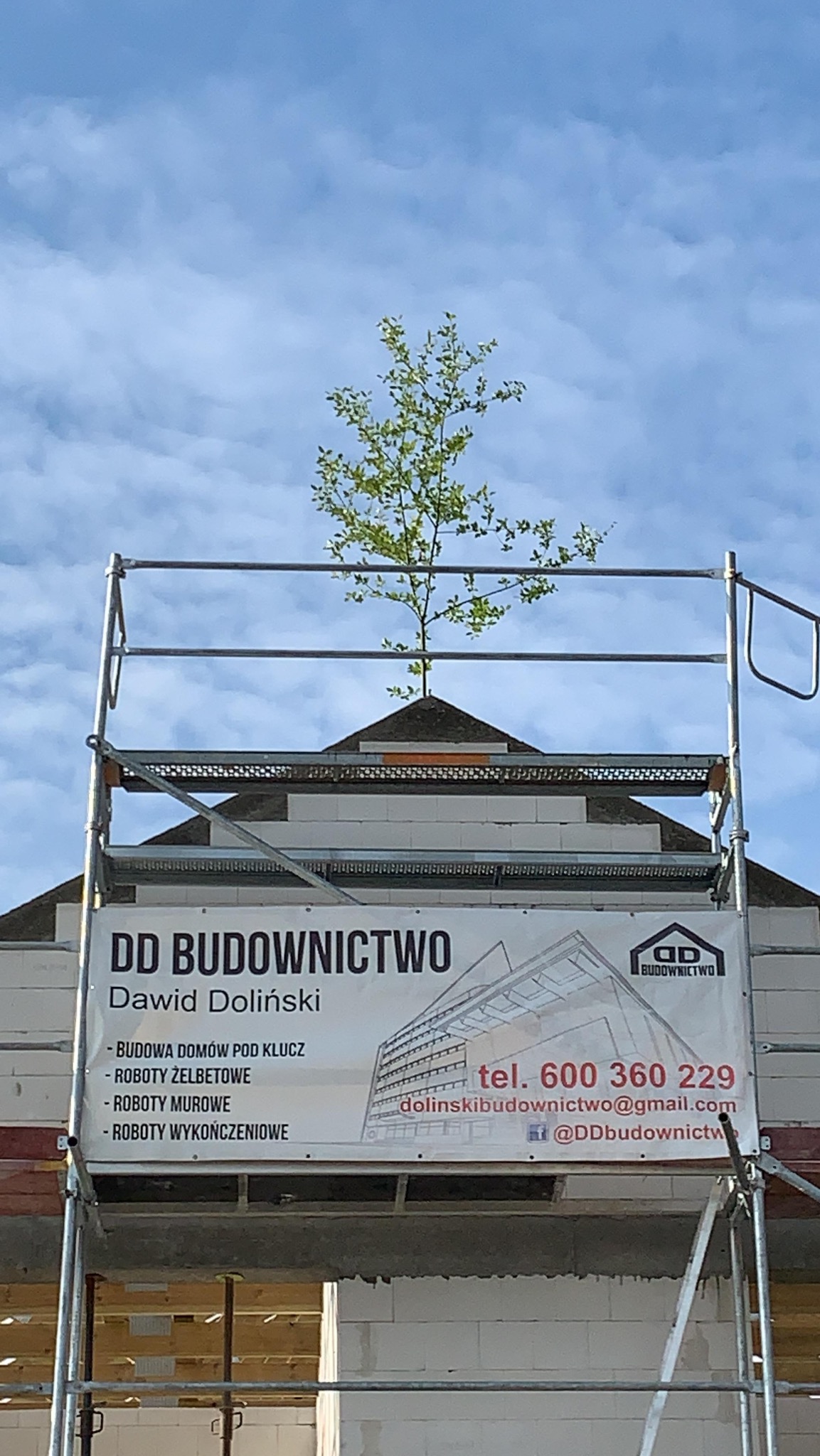 Niedokończony budynek z pustaków, na szczycie którego rośnie drzewo. Na rusztowaniu baner firmy budowlanej DD Budownictwo z danymi kontaktowymi.