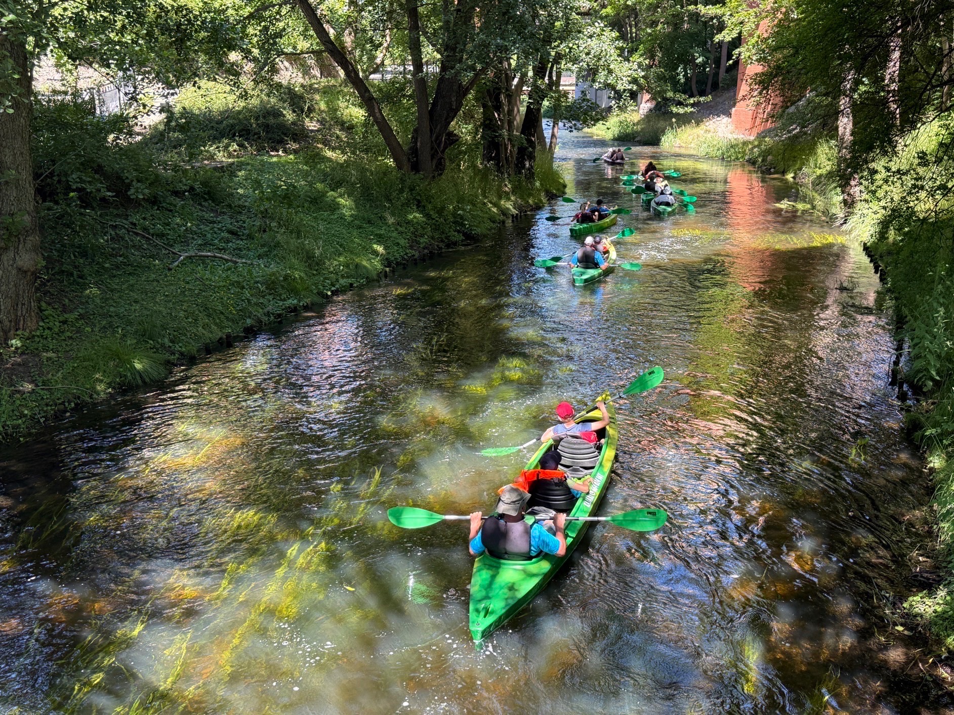 Spływ kajakowy malowniczą rzeką otoczoną zielenią. Grupa kajaków płynie w kierunku oddalającego się mostu. Słoneczny dzień, czysta woda, widoczne rośliny wodne.