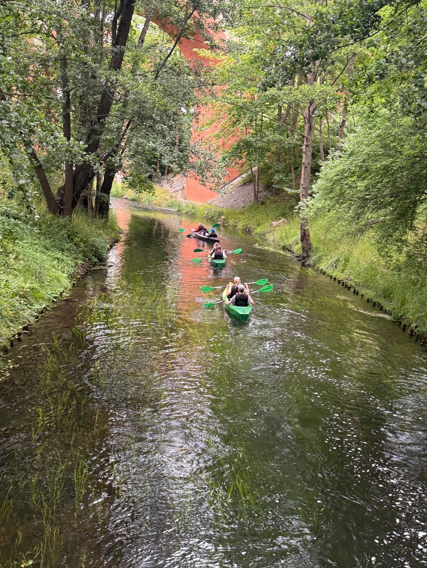 Spływ kajakowy wąską rzeką w otoczeniu zieleni i ceglanego mostu. Trzy kajaki z osobami płyną w kierunku widza, wiosłując. Letnia sceneria.