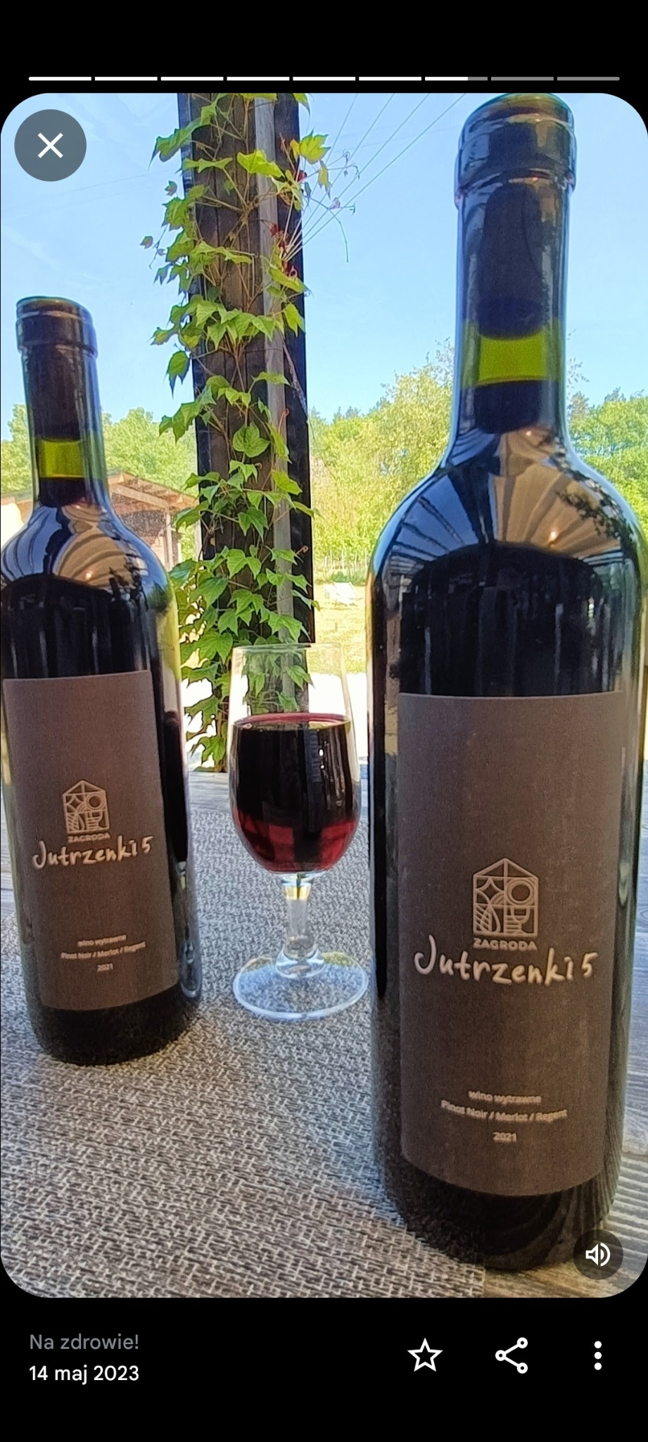 Dwie butelki wina 'Zagroda Jutrzenki 5' z rocznika 2021 i kieliszek czerwonego wina na tle bluszczu. Wino wytrawne Pinot Noir/Merlot/Regent, degustacja.