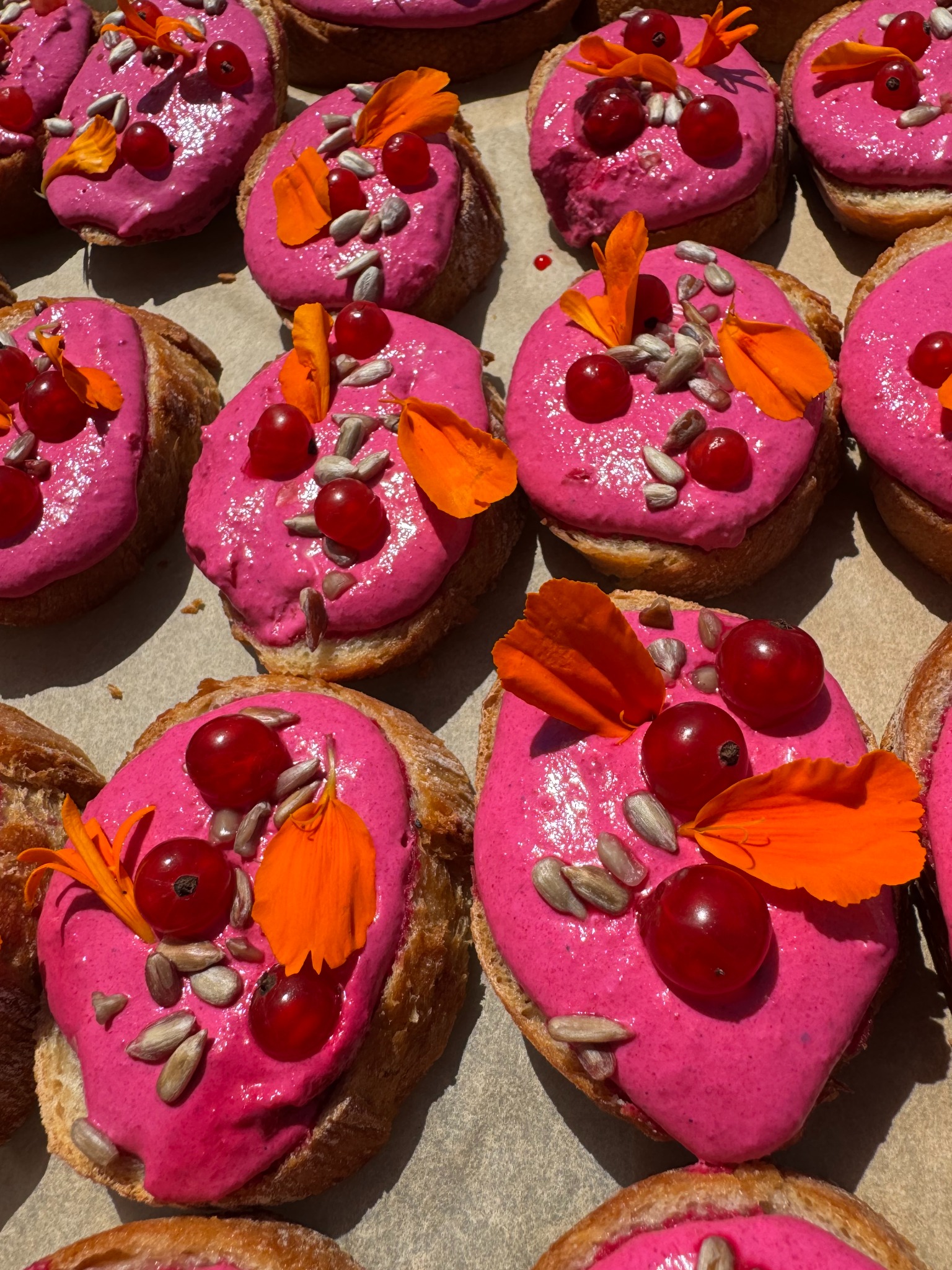 Baguette kanapki z różowym kremem, czerwoną porzeczką, słonecznikiem i płatkami nagietka w ostrym słońcu. Dekoracja, catering.