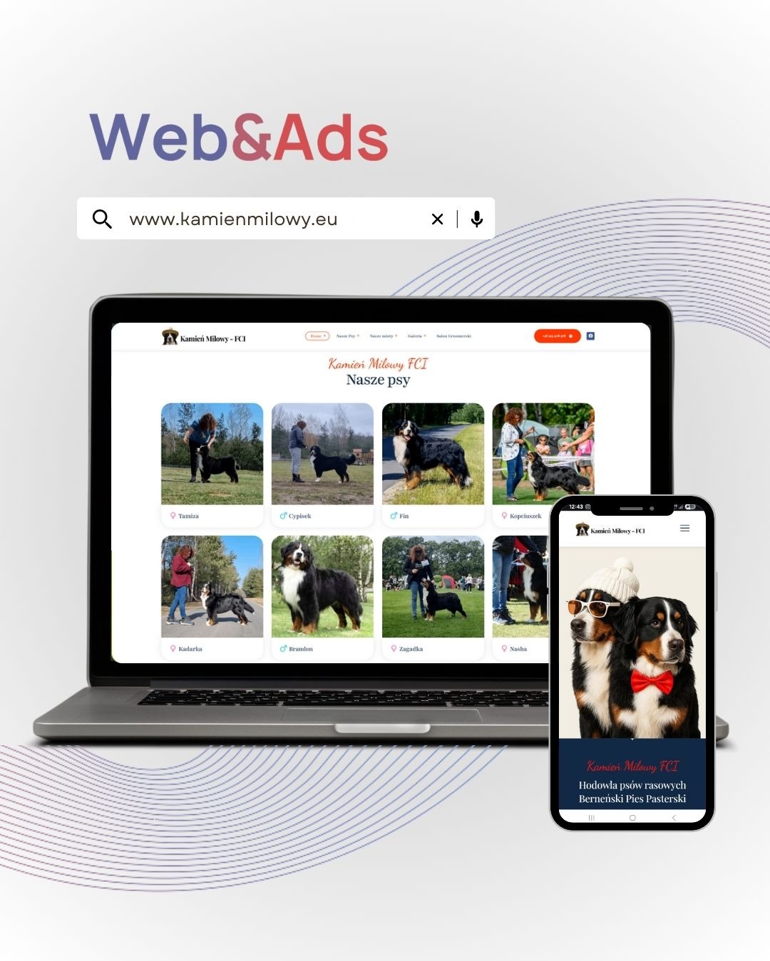 Responsywna strona www hodowli psów rasy berneński pies pasterski na laptopie i smartfonie. Widoczne logo Web&Ads. Układ strony z galerią psów.