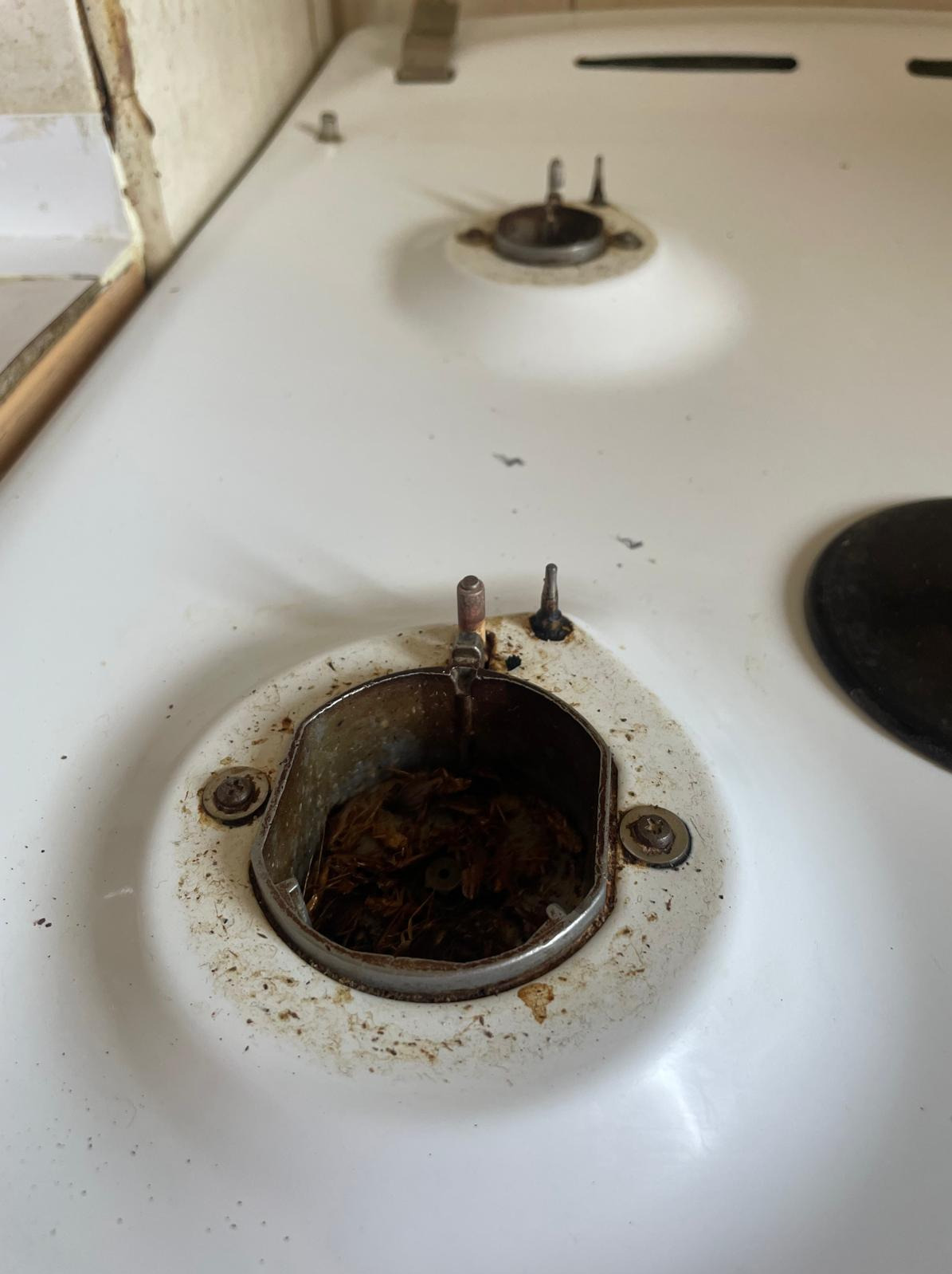 Mała niespodzianka.. dla nas pestka! :)