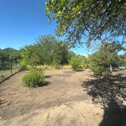 Wycinka drzew Szczecin 1