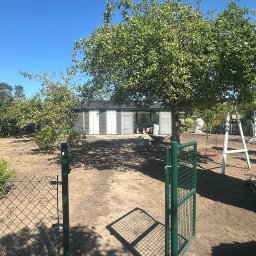 Wycinka drzew Szczecin 2