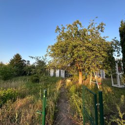 Wycinka drzew Szczecin 3