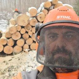 Wycinka drzew Jelenia Góra 3