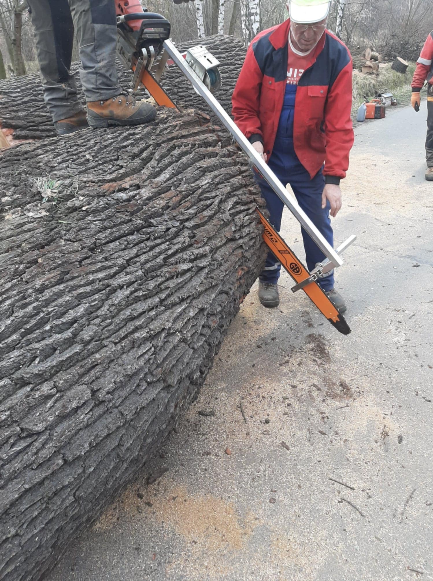 Cięcie pnia piłą łańcuchową z prowadnicą, dwóch mężczyzn przy pracy. Wióry na ziemi, drzewa w tle.