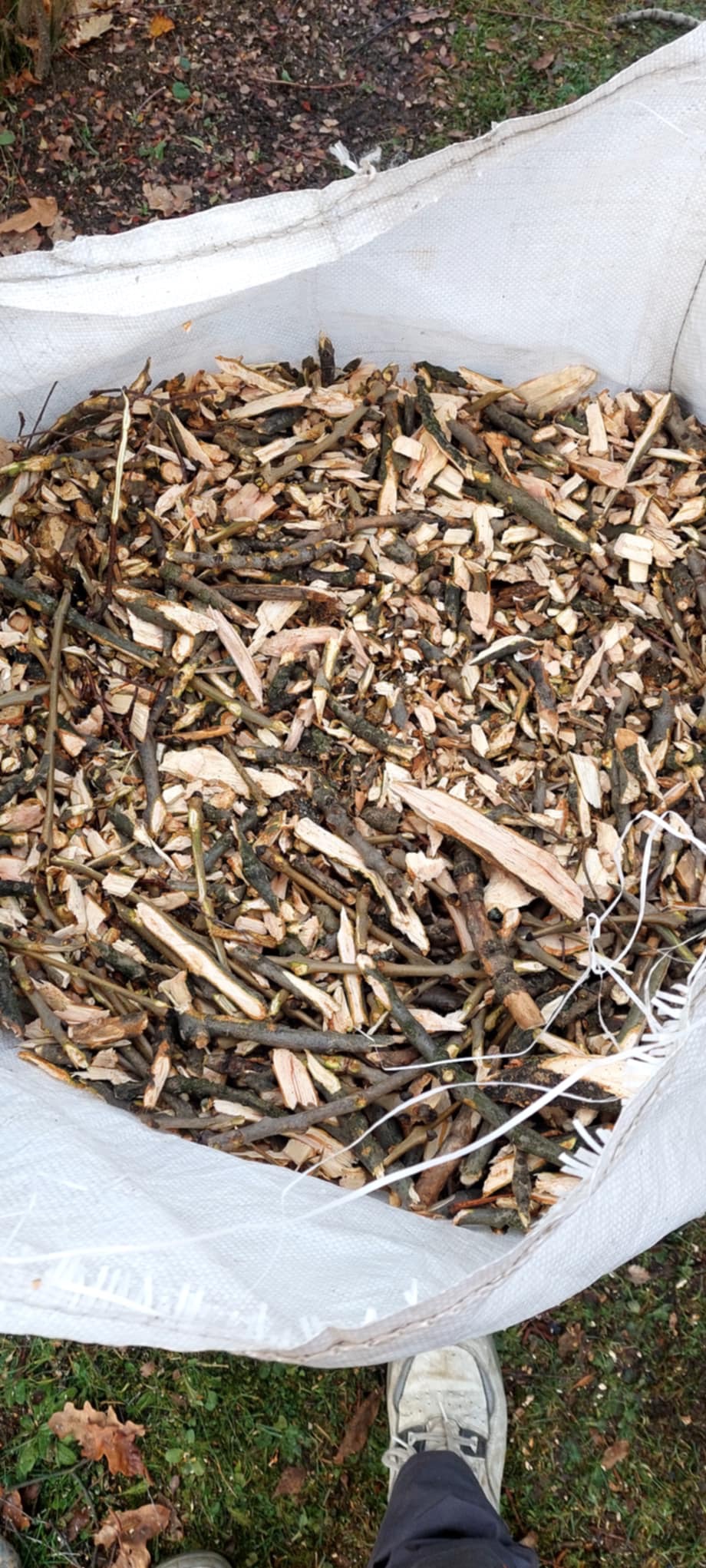 Worek wypełniony świeżo pociętymi gałęziami i drobnymi kawałkami drewna, leżący na trawie. Widoczny fragment buta osoby stojącej obok.
