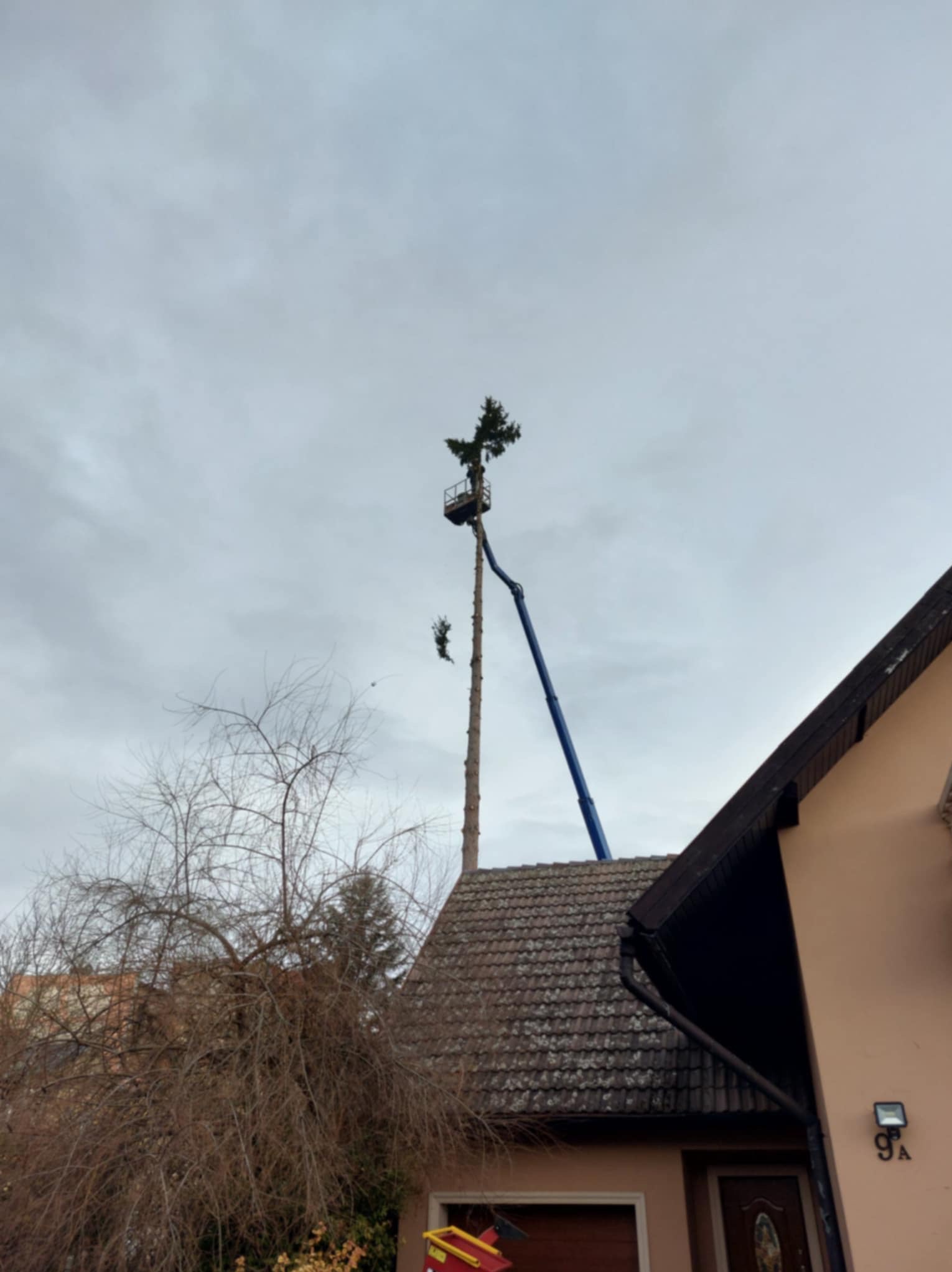 Wysoka sosna przycięta z podnośnika koszowego na tle pochmurnego nieba, widoczny fragment dachu domu. Prace na wysokościach.