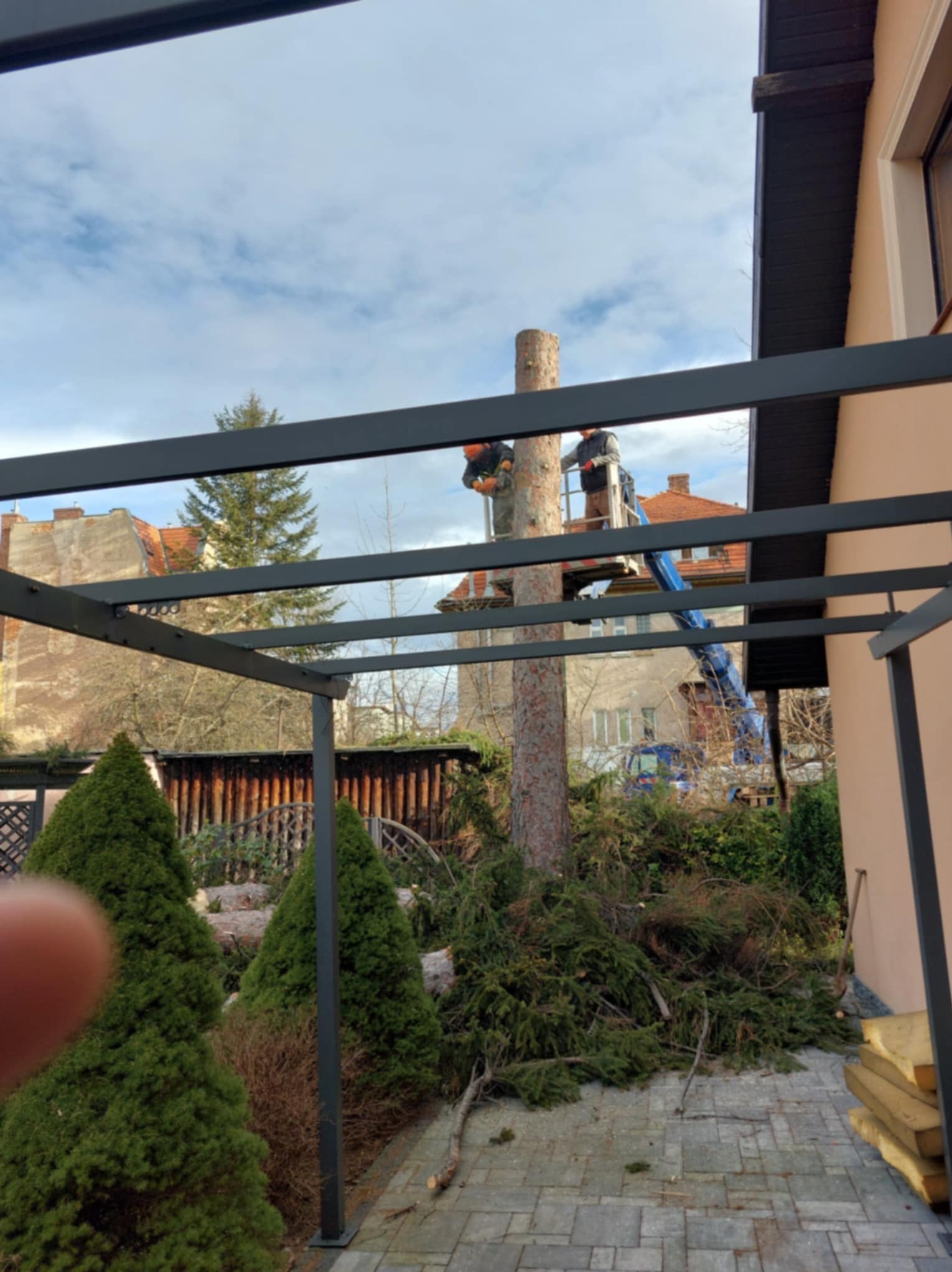 Wycinka drzewa z podnośnika koszowego na tle zabudowy miejskiej. Ścięte gałęzie leżą na brukowanym podwórku. Widok zza metalowej konstrukcji zadaszenia.