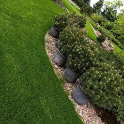 Ślężańska plantacja lawendy - Pielęgnacja Drzew Sobótka